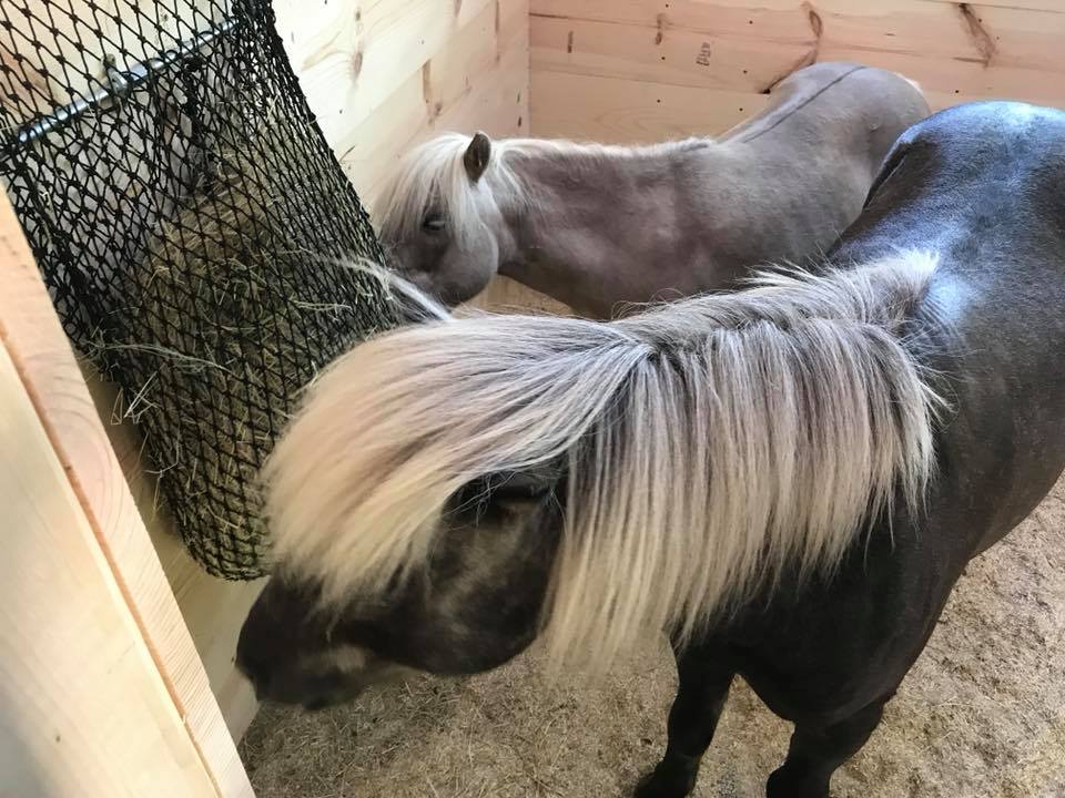 Free Up Feeder