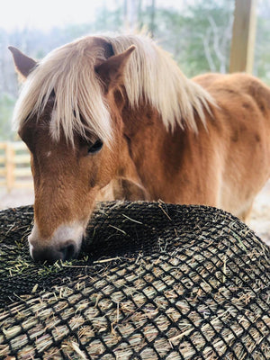 Pyöröpaaliverkko Round Bale Net 150cm/5 ft